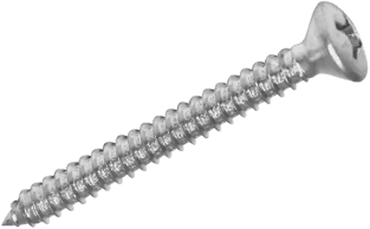 Pf. Auto-Ros. Cab. Lent. DIN 7983 INOX3,5x16 mm 12und S